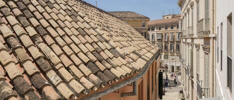 Vista desde la propiedad