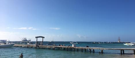 Plage à proximité, chaises longues, serviettes de plage