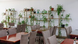 A dining area with tables and chairs, surrounded by shelves with potted plants. - Apple Hostel (Bishkek)