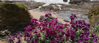 Casa vacanze vicino al mare a St Gilles Croix de Vie