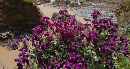 Well-equipped vacation villa, ideal for family/friends, close to the sea.