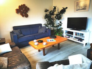 Fernseher, DVD-Player, Bücher