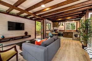 TV, DVD player, books, video library