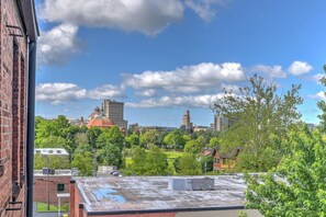 View from property - Charming Historic Condo (Asheville)