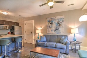 TV - Charming Historic Condo (Asheville)