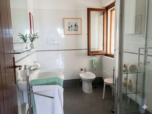 Shower, hair dryer, bidet, towels