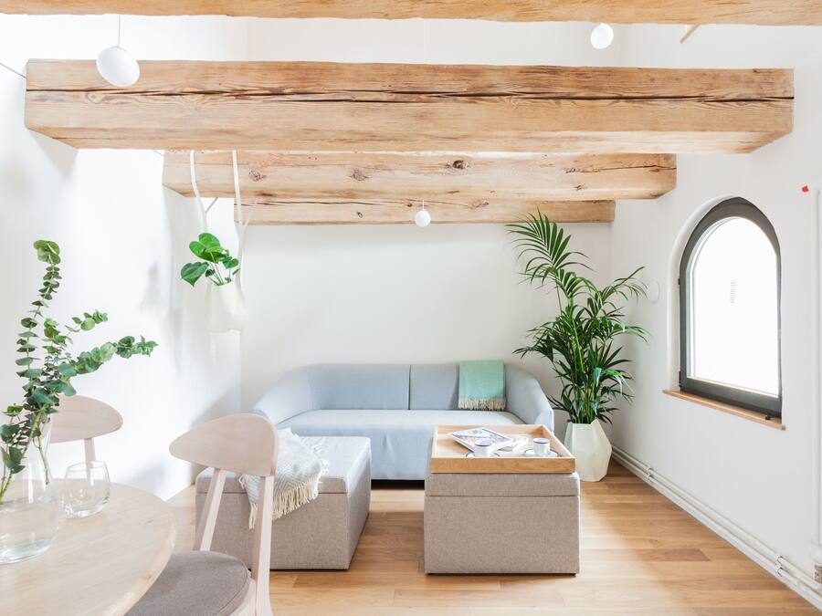 Una sala de estar moderna con techo de madera, un sofá azul claro, una mesa de centro de madera y una planta en maceta.