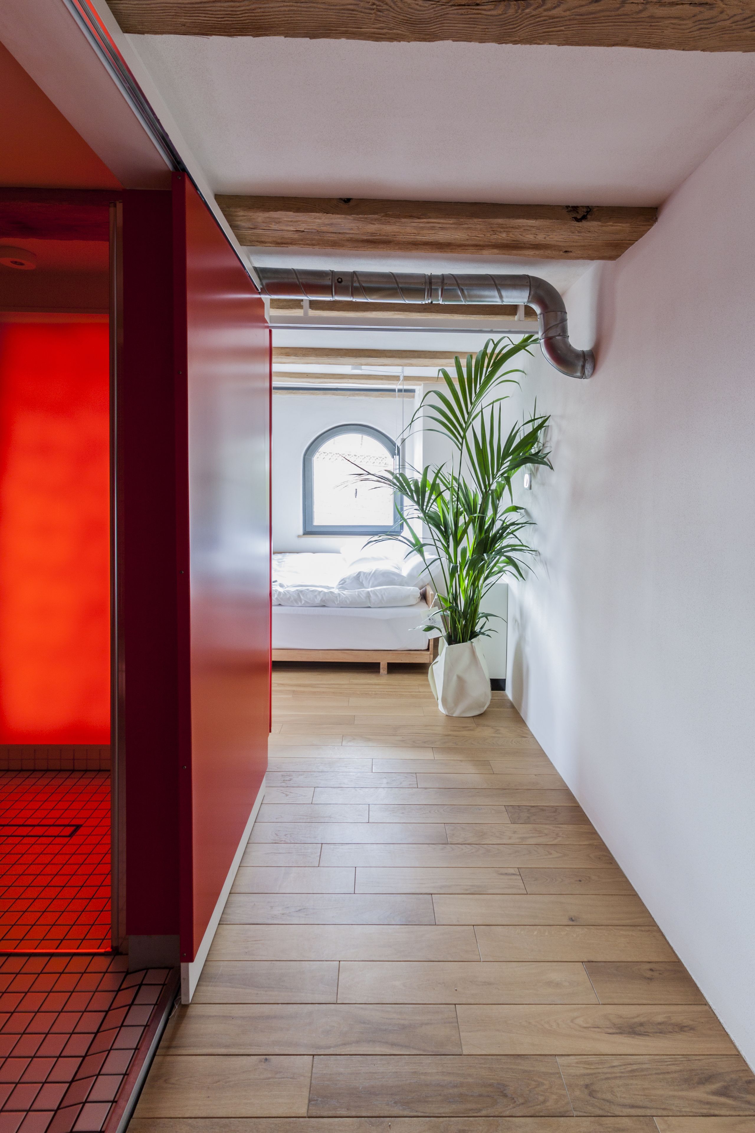 Un couloir étroit au sol en bois, avec un mur rouge à gauche et un mur blanc à droite. Une plante est placée dans un pot blanc, sur le côté droit.