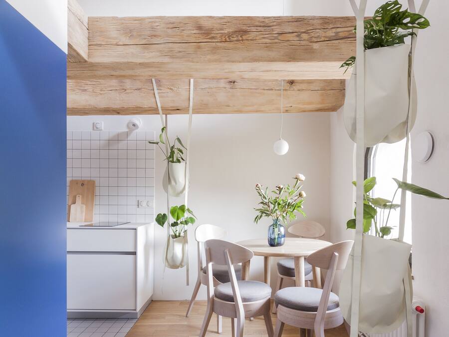 Uma cozinha moderna com armários brancos, bancada de madeira e plantas penduradas.