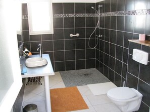 Shower, hair dryer