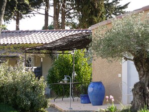 Ein Innenhof mit einer Pergola, großen blauen Kübeln und einem Baum.