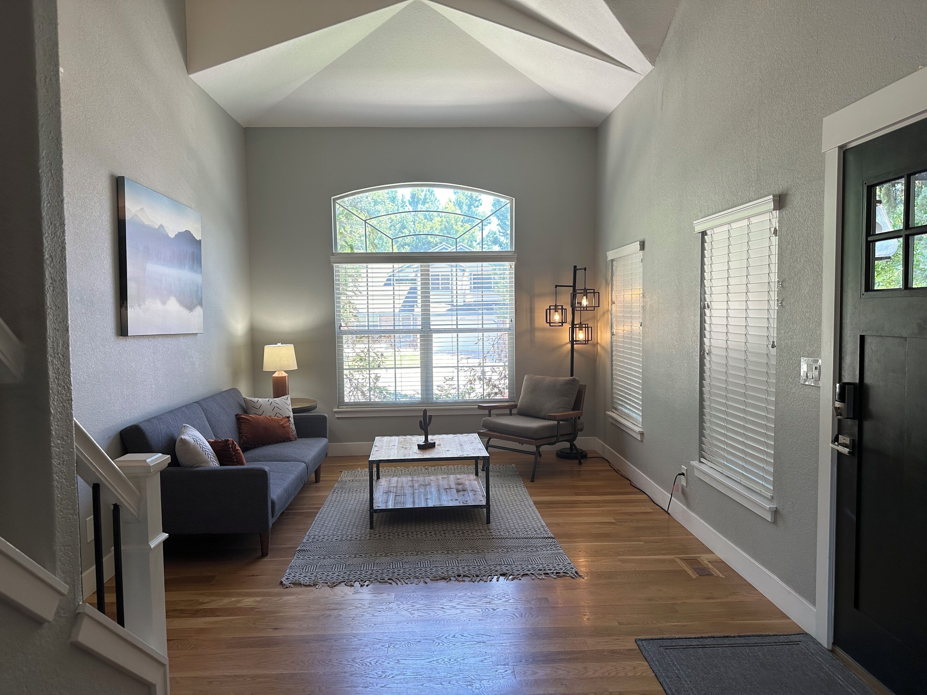 Smart TV, fireplace, DVD player, books