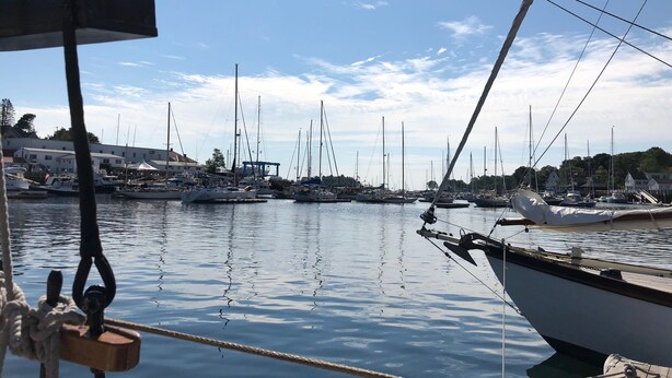 A marina with multiple sailboats docked. - THE BARN ON PASCAL... A lovely circa 1900 refurbished barn. (Rockport)