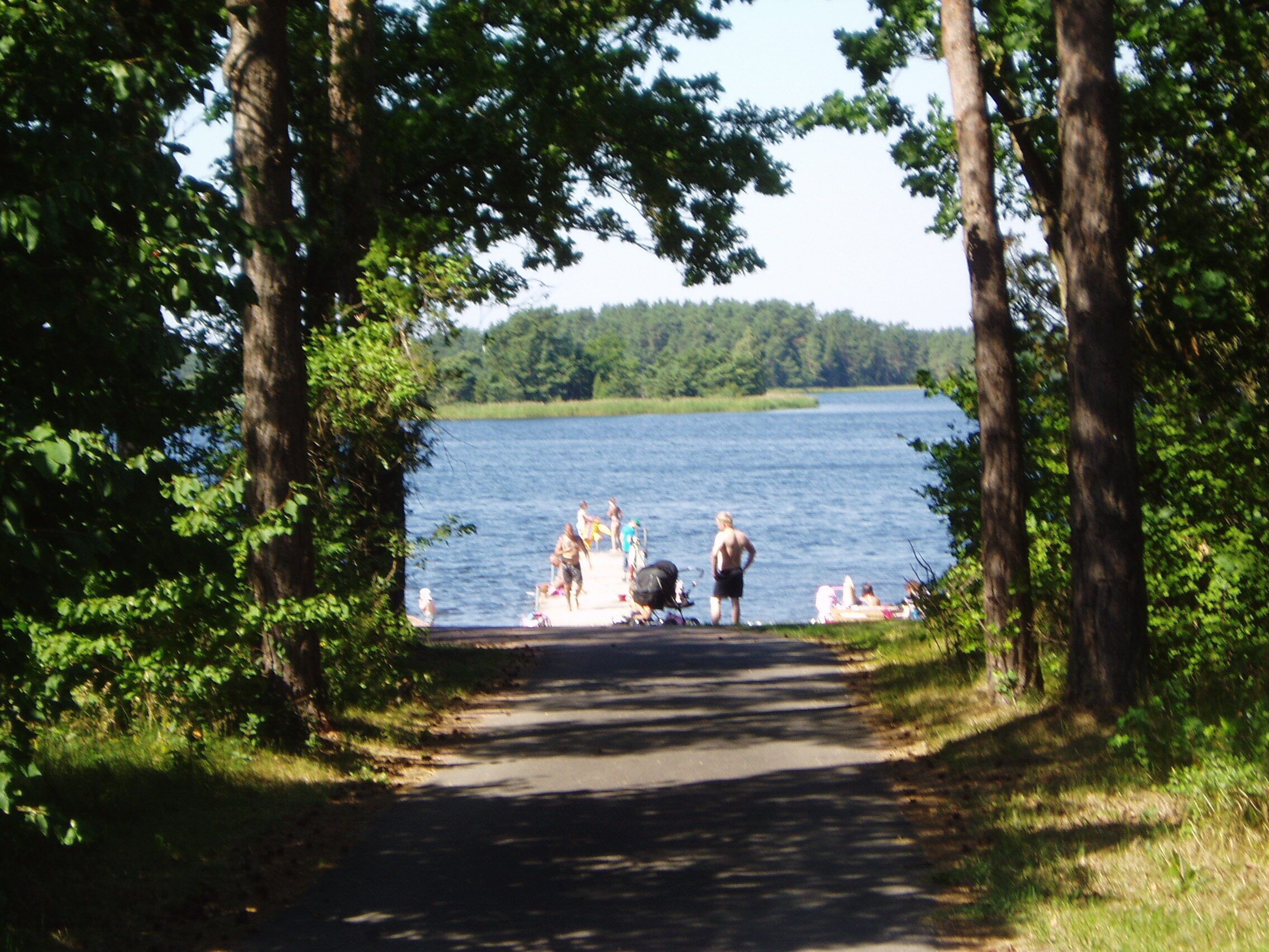 A pathway leading to a lake surrounded by trees.