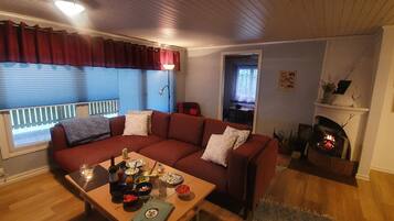 Smart-TV, Kamin
