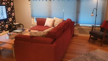 Smart-TV, Kamin