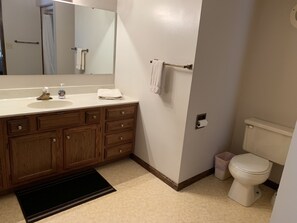 Combined shower/tub, hair dryer, towels, soap