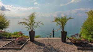 A view of a lake with two potted palm trees in the foreground, a pathway leading to the water, and a clear sky.