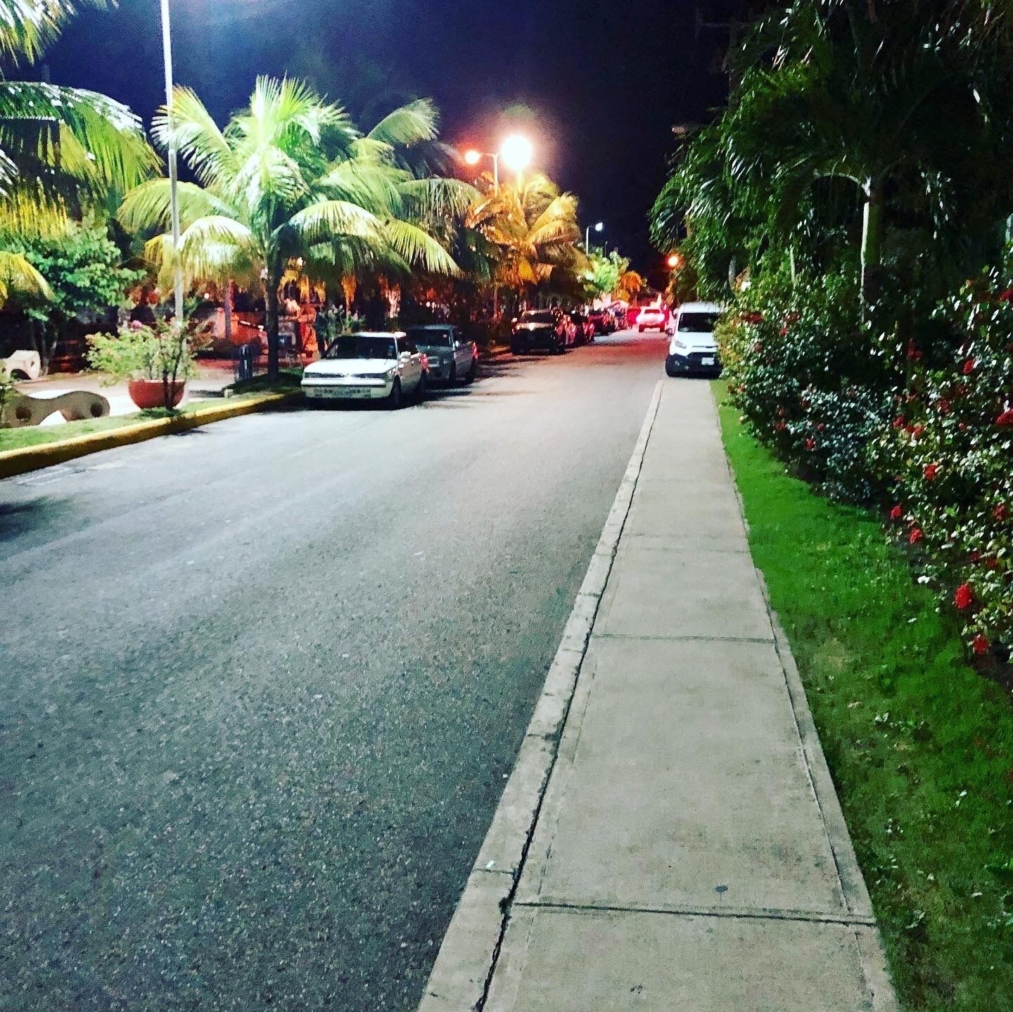Scena notturna di una strada con auto parcheggiate lungo il bordo, palme e un marciapiede.