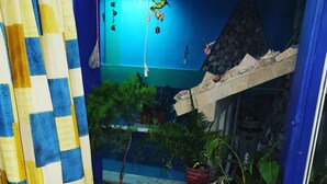 A room with a checkered curtain, a blue wall, a small garden area with potted plants, and a tiled floor. - A1 Apartments Aruba (Oranjestad)