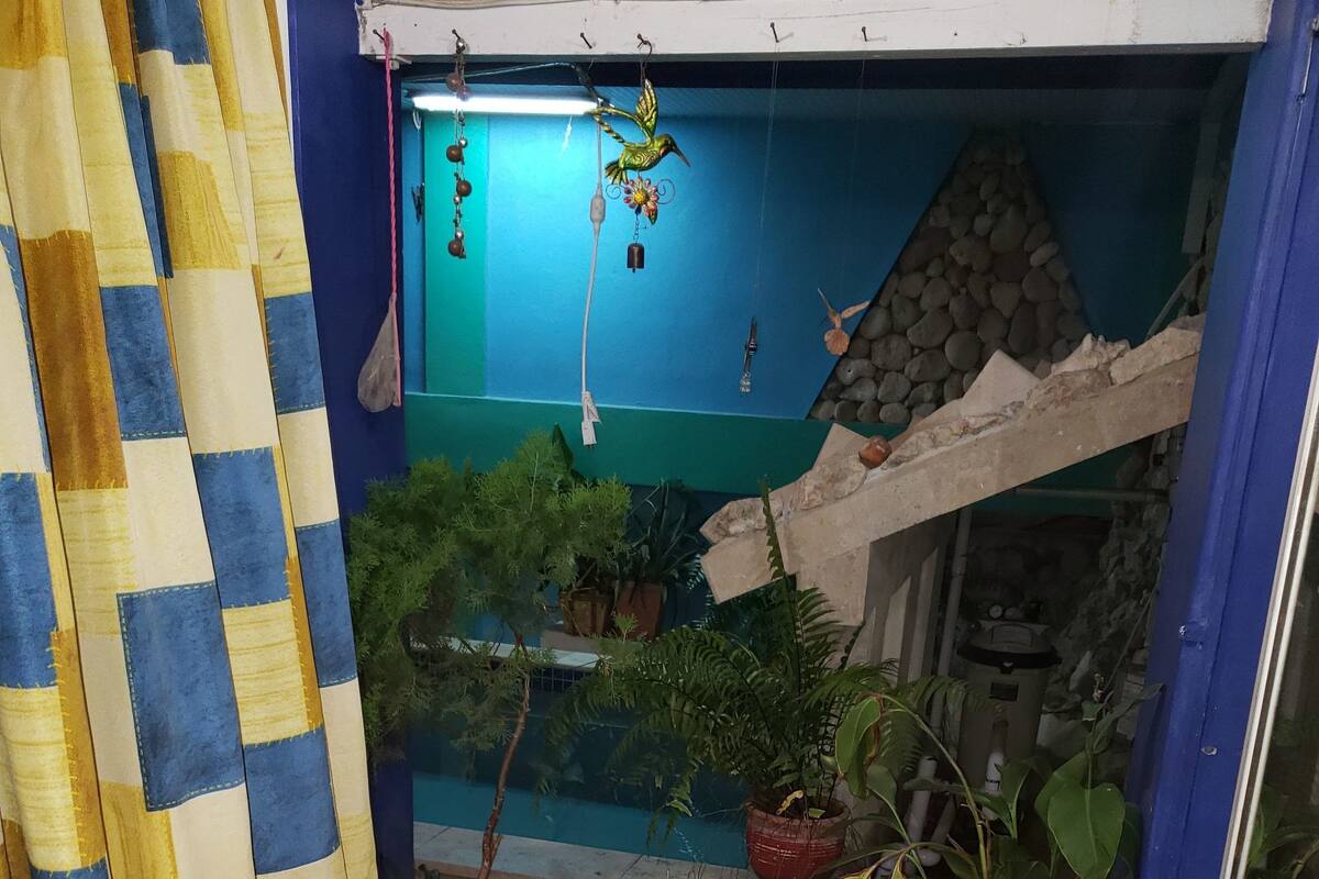 Um pequeno jardim murado, com plantas em vasos e uma decoração de pássaro pendurada, além de uma parede azul.