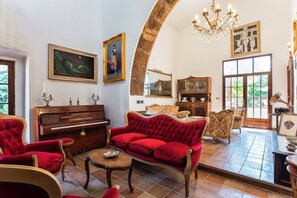 TV, fireplace, books