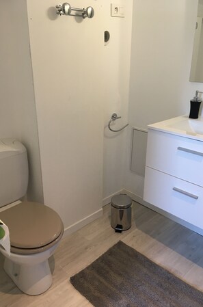 SĂšche-cheveux, serviettes fournies