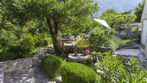 A garden with stone steps, potted plants, and a stone wall. - Holiday home Mendy with Jacuzzi in the garden in a quiet location above Tučepi (Tučepi)