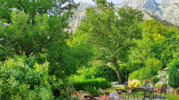 A garden patio with stone pathways, potted plants, and outdoor furniture. - Holiday home Mendy with Jacuzzi in the garden in a quiet location above Tučepi (Tučepi)