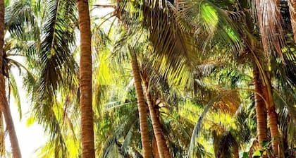 Suites Punta Arena Surf