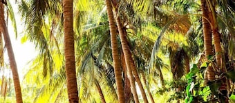 Suites Punta Arena Surf