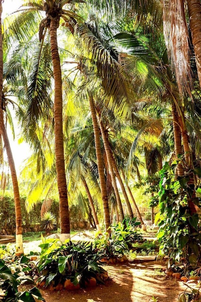 Suites Punta Arena Surf