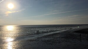 A beach with a clear sky, the sun low on the horizon, and a visible contrail.