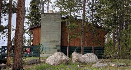 Astu ajassa taaksepäin The Piney Lodgessa