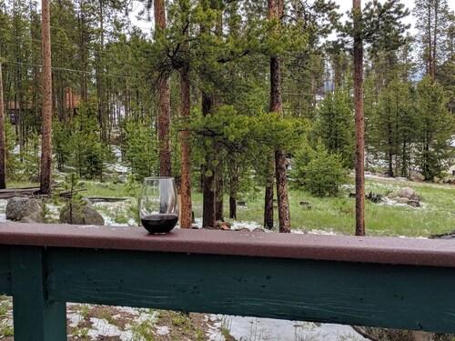 Astu ajassa taaksepäin The Piney Lodgessa
