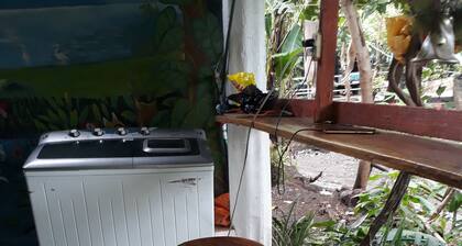 Casa Maybeli - Hostel