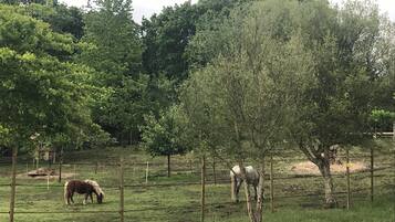 Enceinte de lâhĂ©bergement