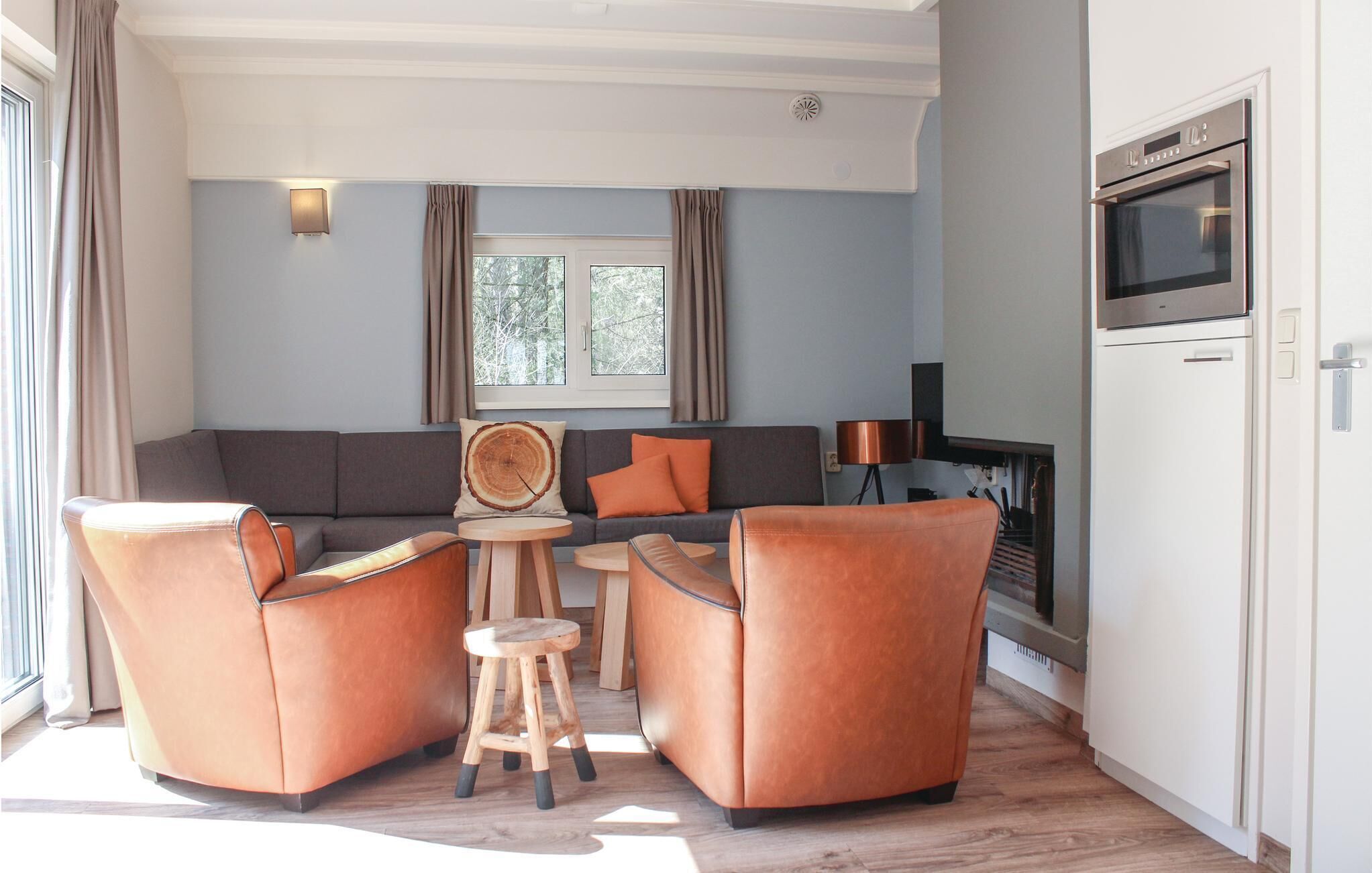 智能电视、壁炉