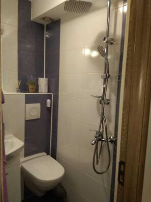 Hair dryer, slippers, towels, soap