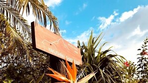 A sign with the text "YAKUSHIMA SHIKUYA" amidst lush greenery and a clear sky. - Yakushima Shikinoyado Onoaida (Yakushima)