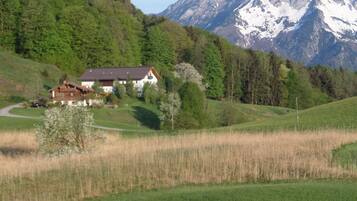 Ein Haus mit einem geneigten Dach, umgeben von einem grünen Feld und Bäumen, mit Bergen im Hintergrund.