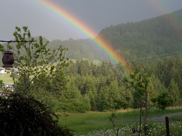Een landelijk landschap met een regenboog, bomen en een weg.