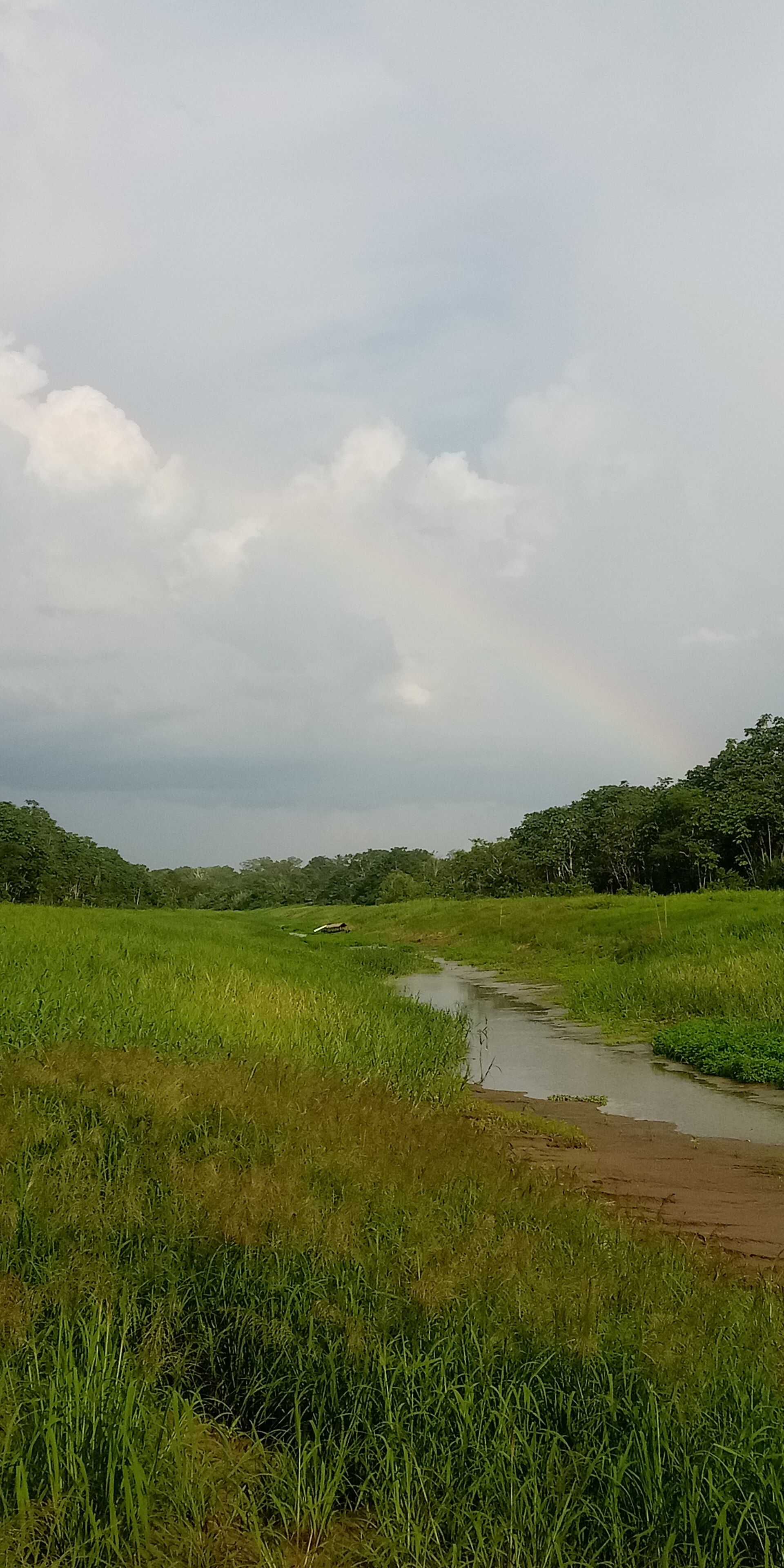 A natural landscape with a stream, grassy fields, and trees under a cloudy sky.