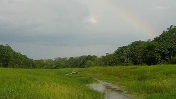 A natural landscape with a stream, grassy fields, and trees under a cloudy sky.