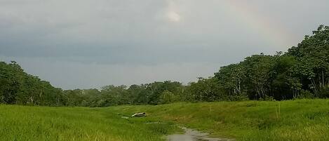 A natural landscape with a stream, grassy fields, and trees under a cloudy sky.