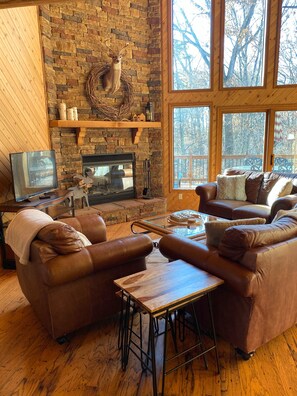 Smart TV, fireplace, DVD player, books