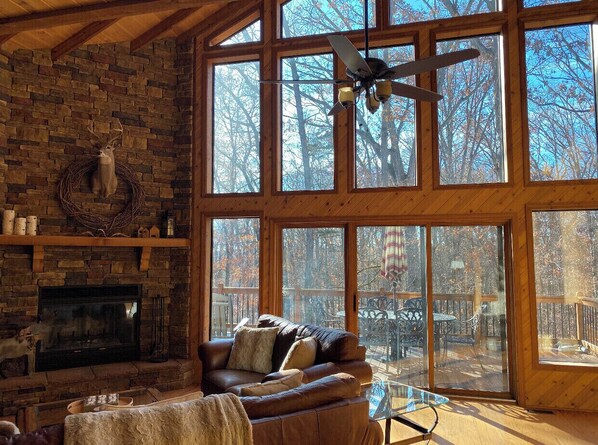 Smart TV, fireplace, DVD player, books