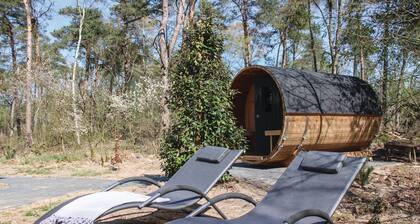 3 huonetta majoitus Ommenissa