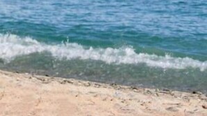 Una playa con agua cristalina y una orilla arenosa.