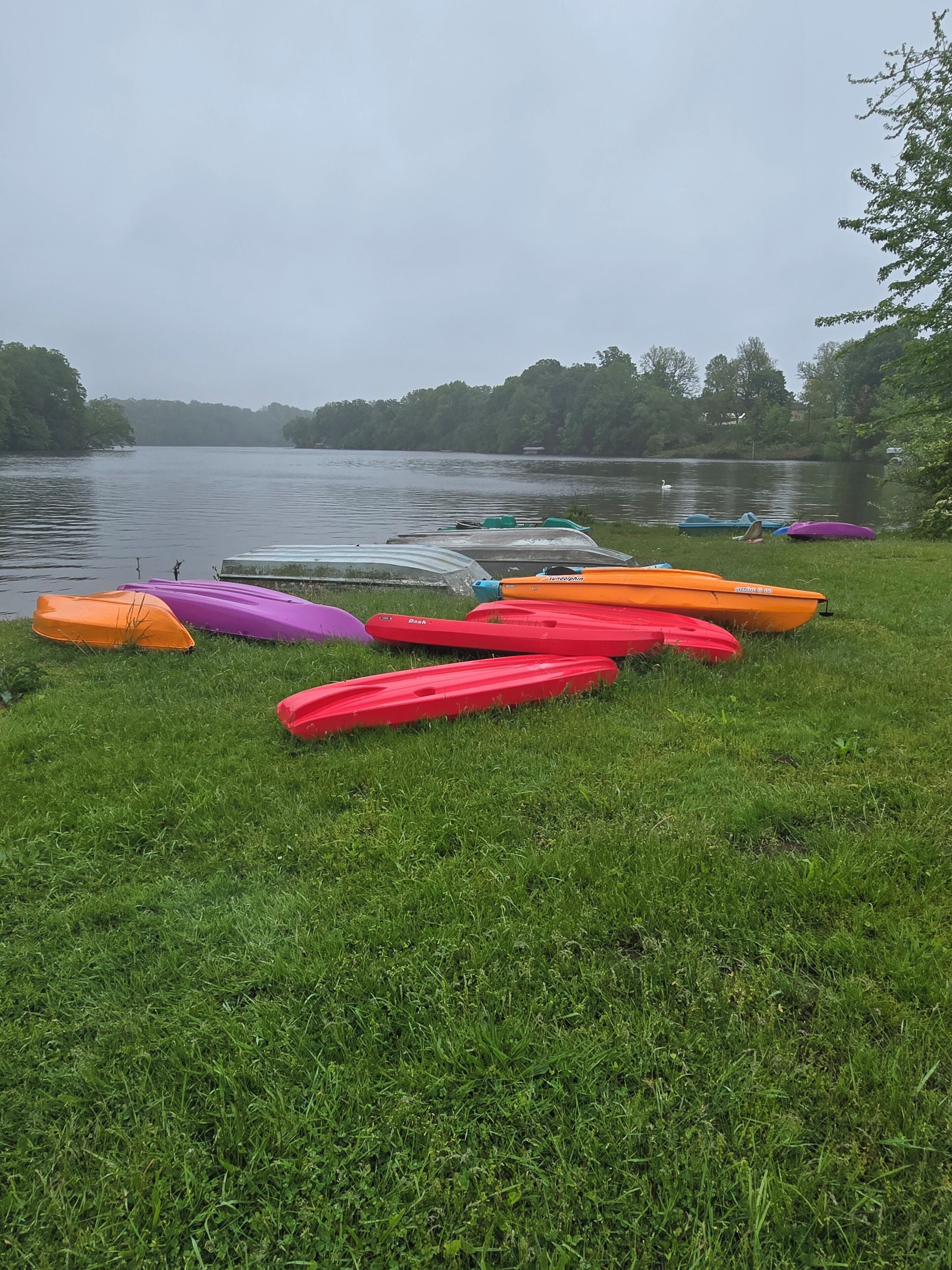 Una zona verde junto al lago con varias kayaks de colores alineadas en la orilla.